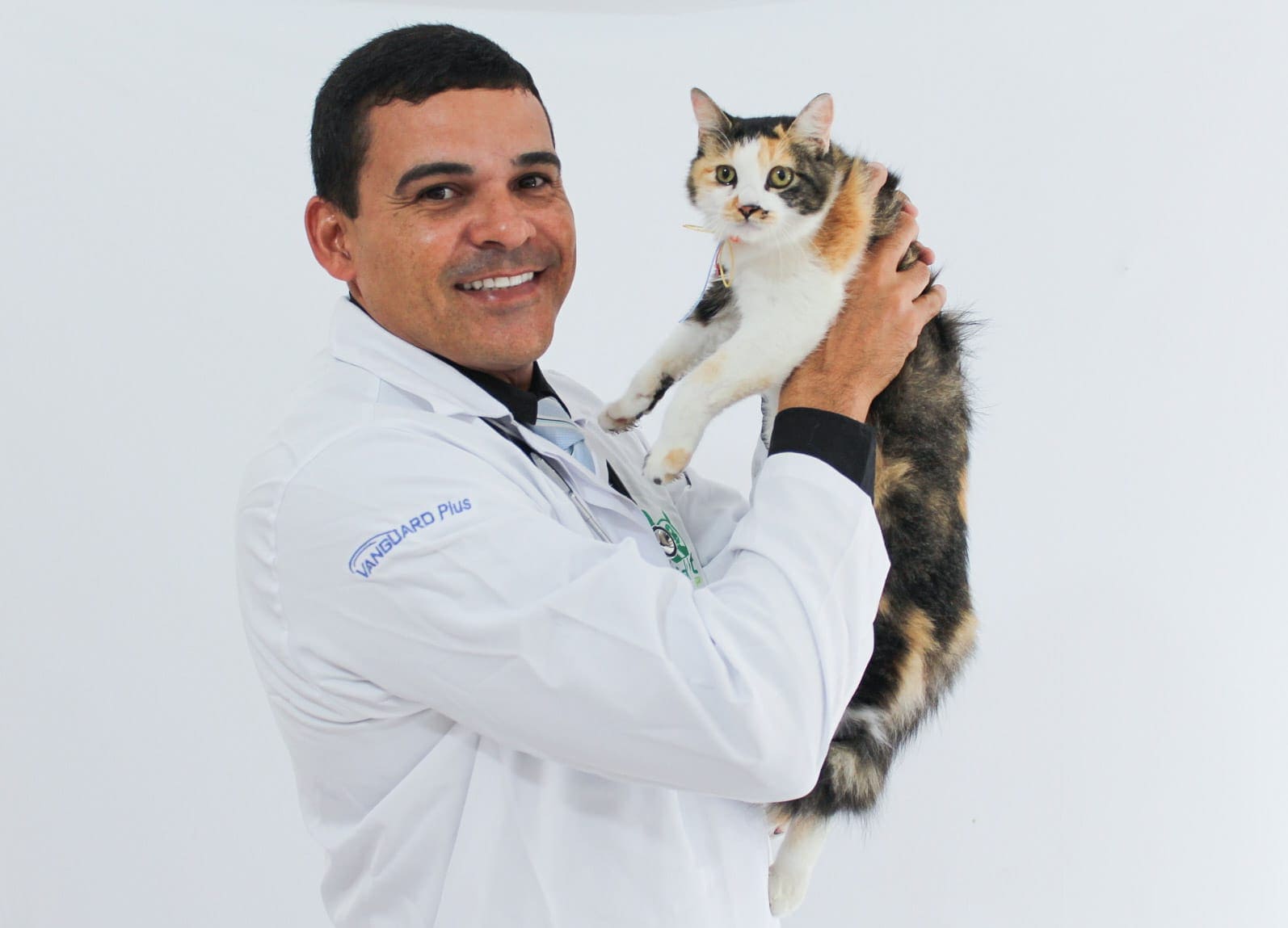 Imersão em Atestados de Saúde para Viagens Pet